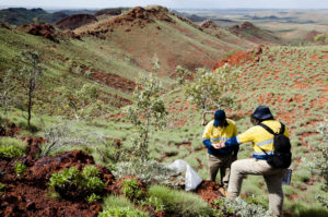 Geologists Sampling Rocks Pilbara Australia