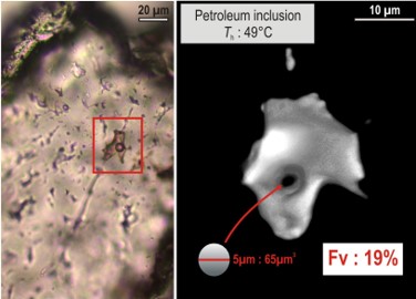Observation and 3D modeling of an oil inclusion