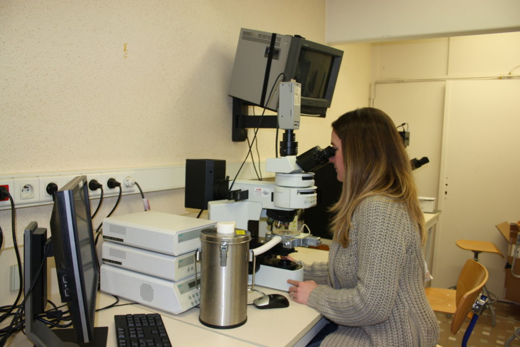 Observation with microscope equipped with LINKAM microthermometric platinum
